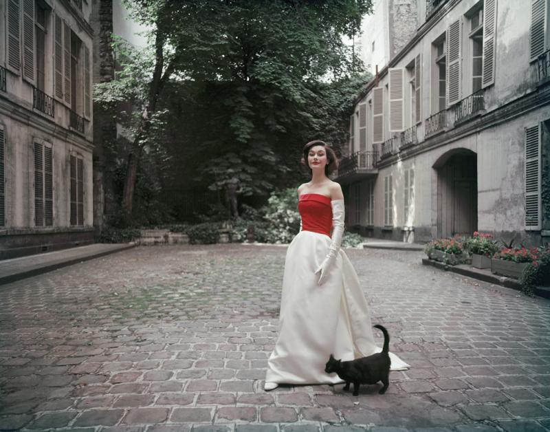 Mark Shaw Mark Shaw Balenciaga Red and White Satin With Black Cat 1955