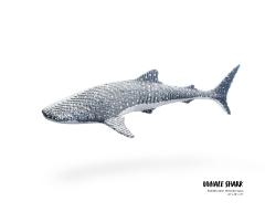 Nathan Sawaya Whale Shark Nathan Sawaya - 3220823