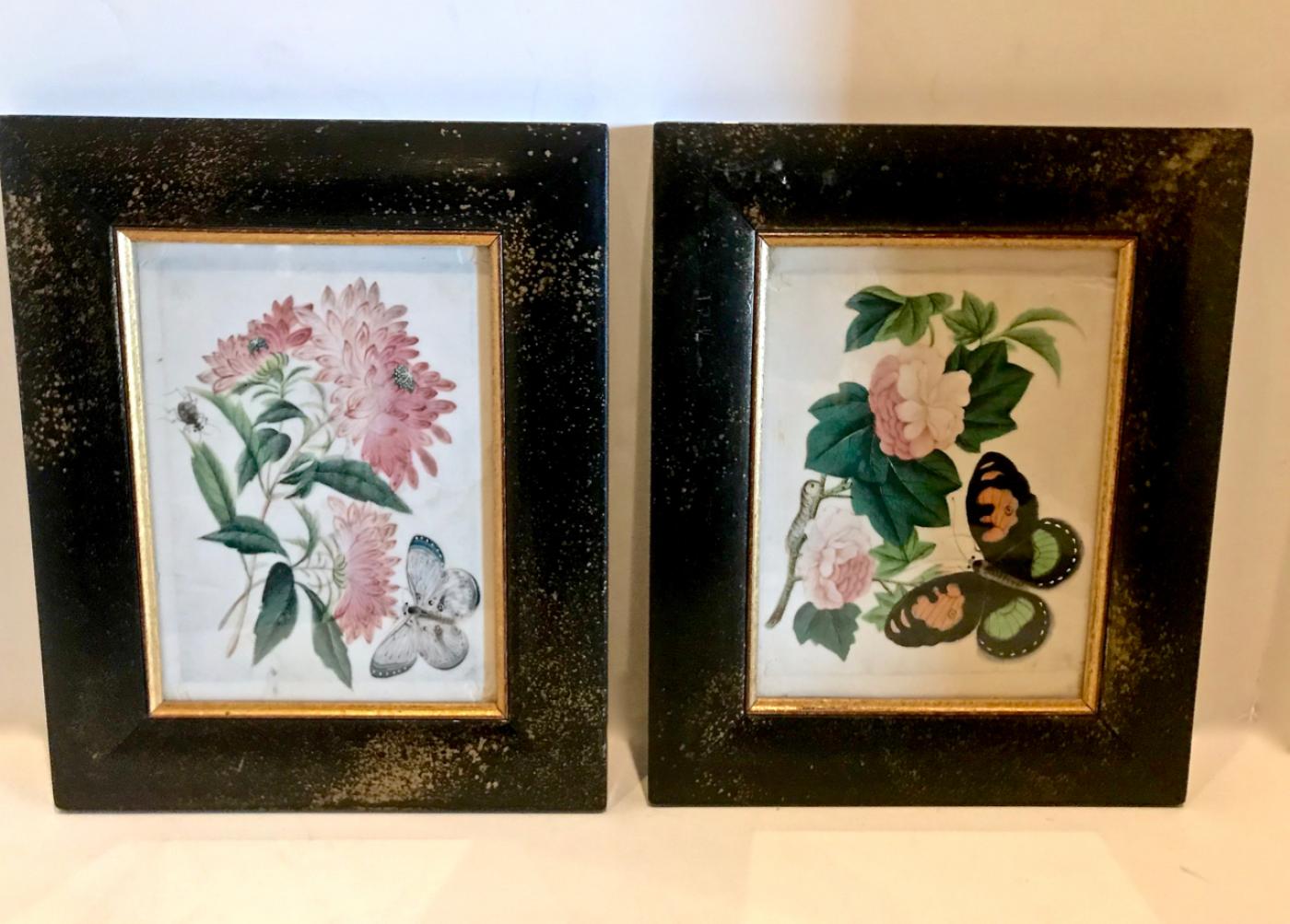 Chinese Botanical Pith Paintings c. 1830, Set of 12